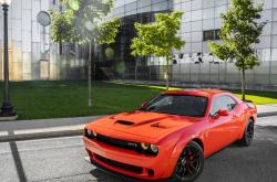 开云体育app-蓝桥记分牌冰冷如铁，他却在余烬中点燃星辰