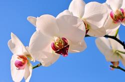 开云体育中国-当记分牌写下结局，马龙站在赛场中央，却仿佛身处一条奔涌的界河