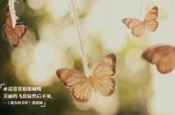 开云体育官网-唯一性的足球史诗，玻利维亚压制雷恩与莱万欧冠半决赛的统治