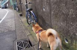 开云体育app-工业废土上，一台精密机器如何肢解生锈的钢铁森林