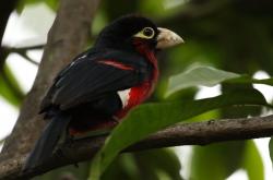 开云sport-钢刃划破基辅寒夜，尤文提前终结悬念，努涅斯神兵天降定乾坤