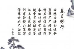 开云体育app-节奏大师迪马利亚，一盏孤灯，照亮皇家社会晋级路