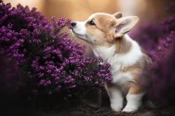 开云体育APP下载-绝境逆袭！小贾伦补篮绝杀续写热火传奇