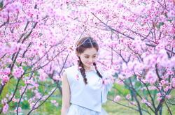 开云体育登录-沙漠烈日融化红黑冰川，萨内读秒绝杀铸就墨西哥足球新传说