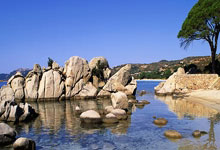 开云体育在线-日本队险胜法国队，马琳刷新纪录