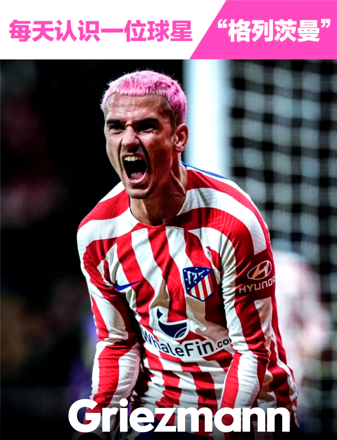 比利时翻盘法国,格列兹曼惊艳世界 比利时翻盘法国,格列兹曼惊艳世界