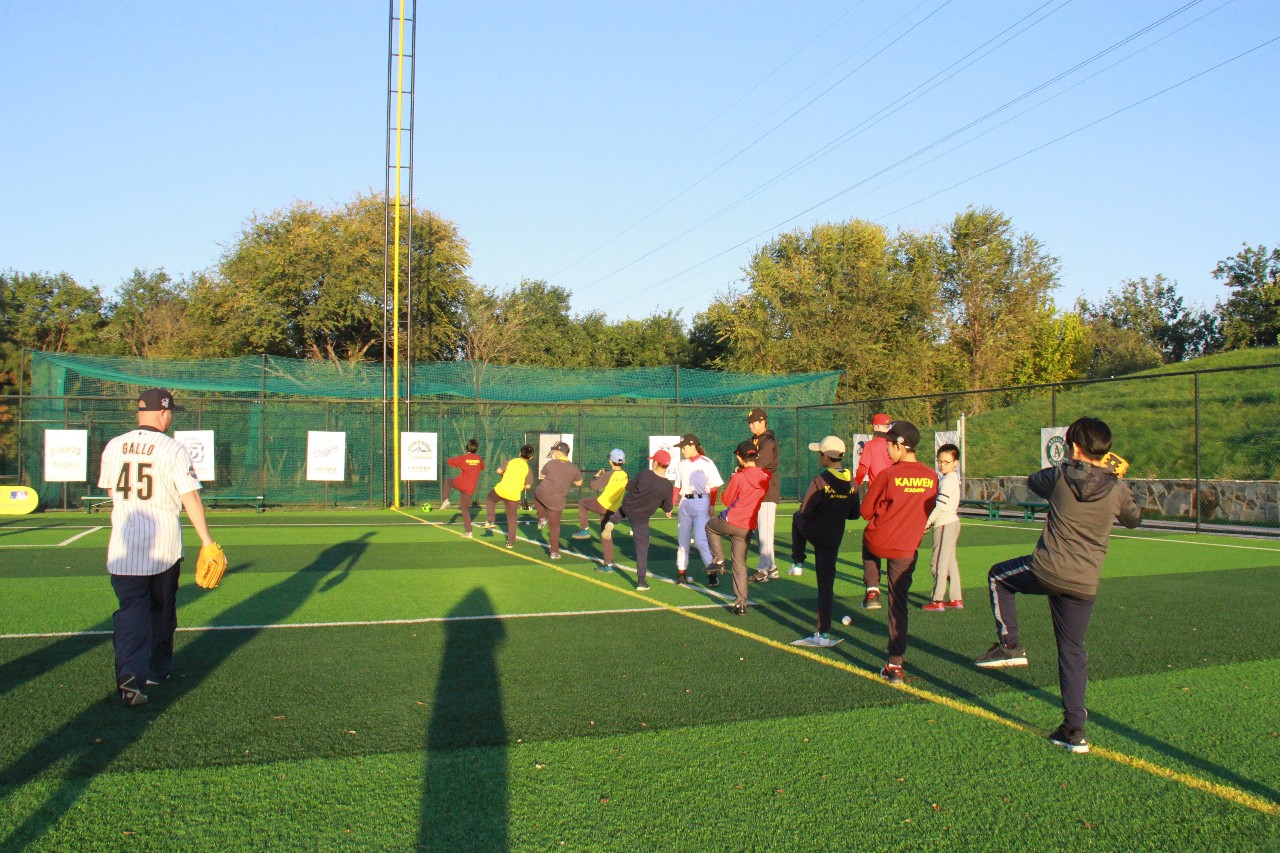 棒球明星选手受伤退赛,引发热议 棒球明星选手受伤退赛,引发热议