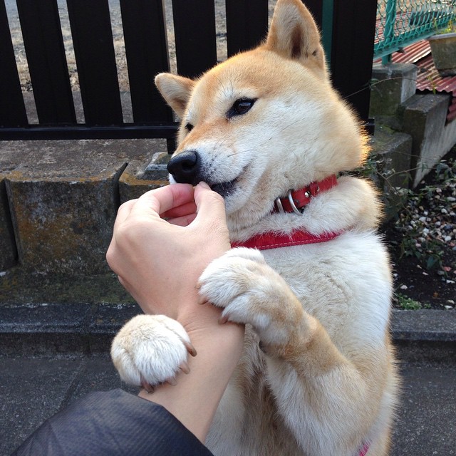 历史性突破！年终总决赛轻取法网成色，纳达尔刷新纪录诠释全能之王