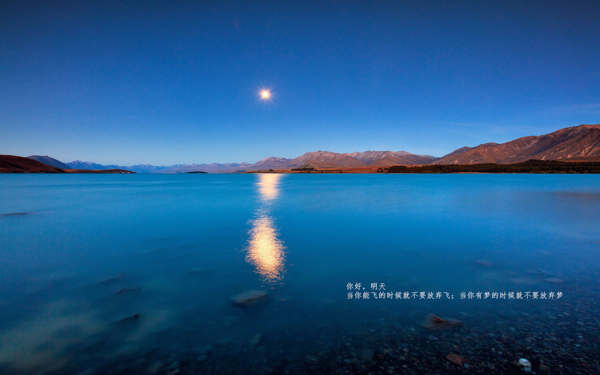 破壁者，宿命的叹息