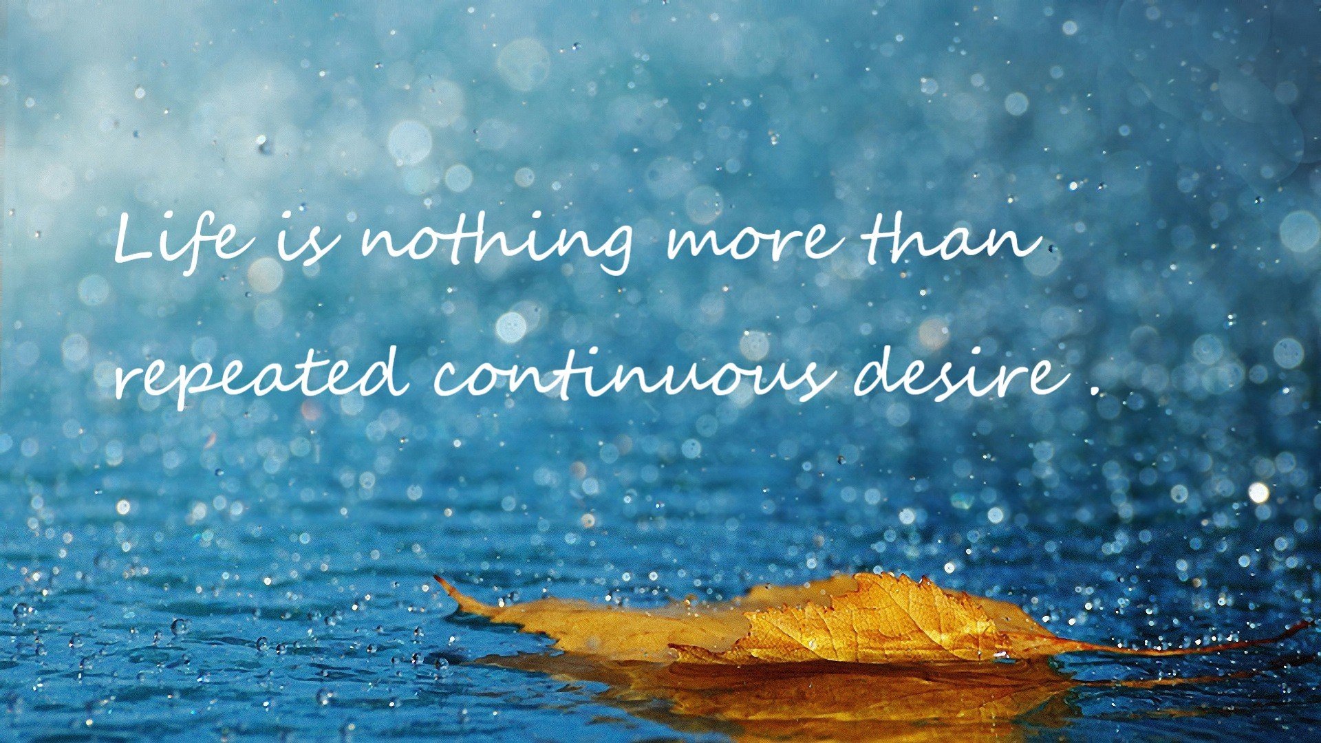 你提到的关键词中西决（西部决赛）与骑士、尼克斯（均属东部）存在地理矛盾。我猜想你的核心是想表达季后赛生死战焦点对决和骑士淘汰尼克斯。我将在此基础上，为你构思一篇更具合理性和张力的文章