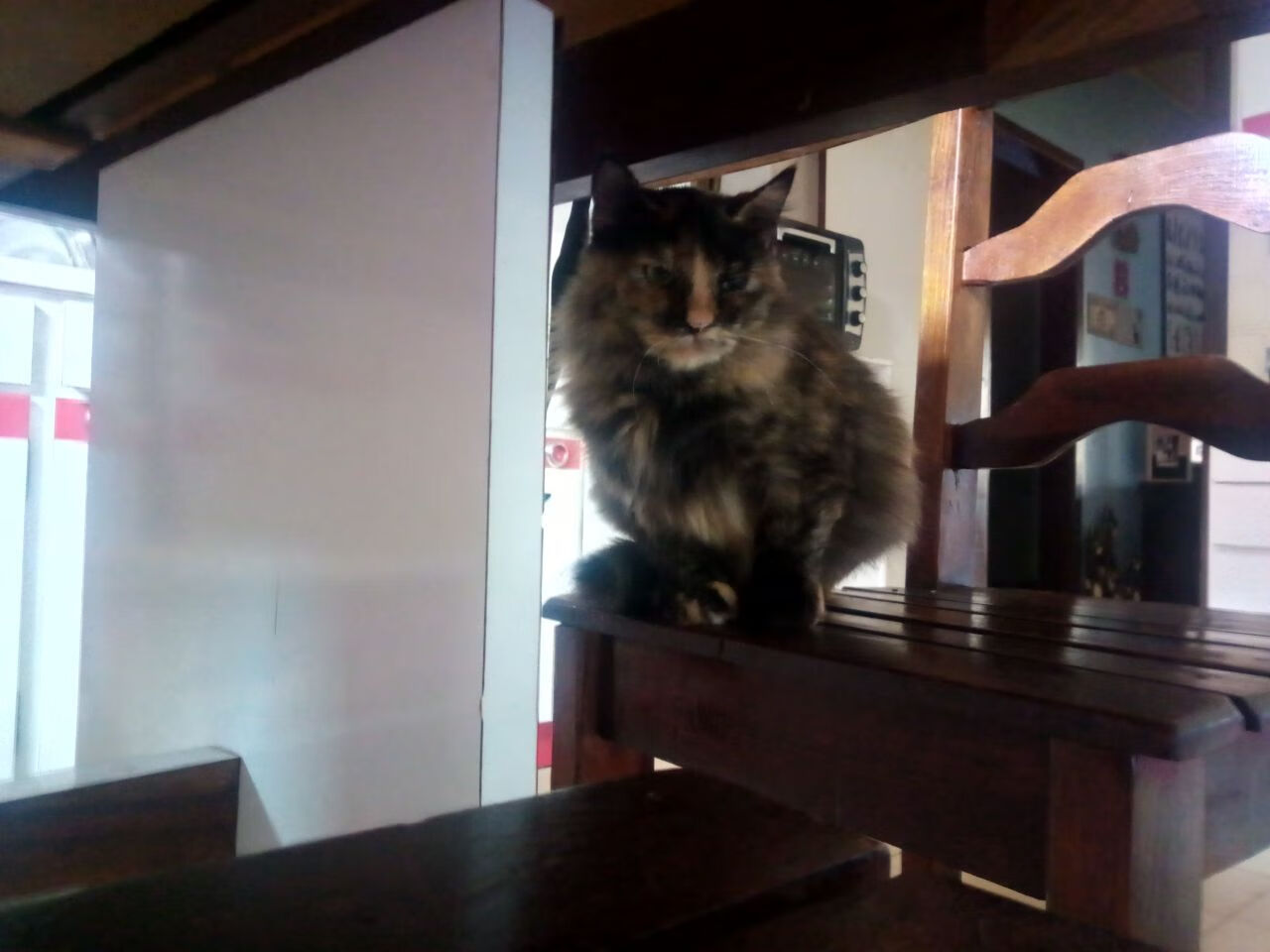 完美风暴，奥亚尔萨瓦尔的个人交响，希腊的压制美学