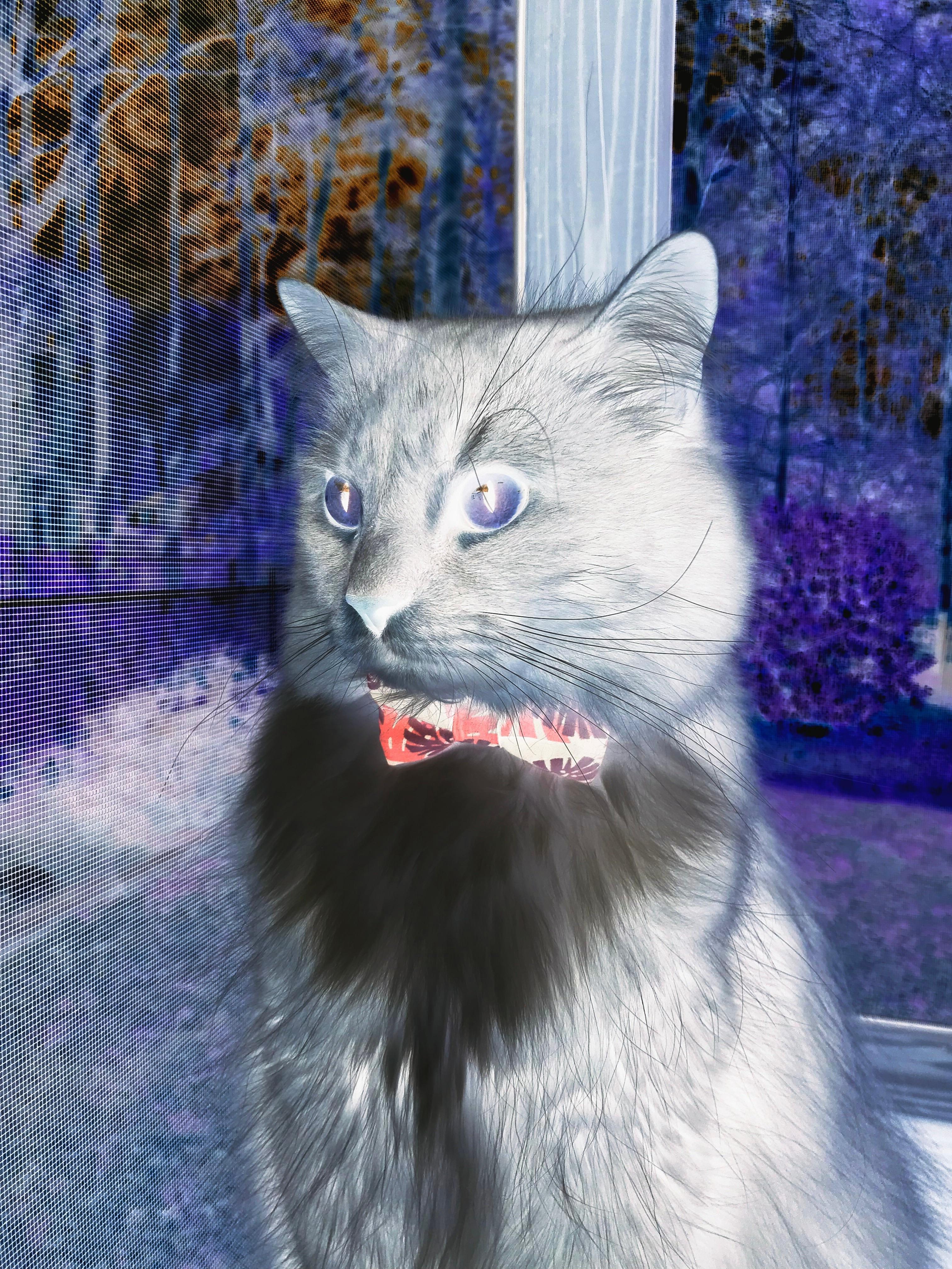 冰火双城记，德罗赞一剑封喉，勇士血战到底