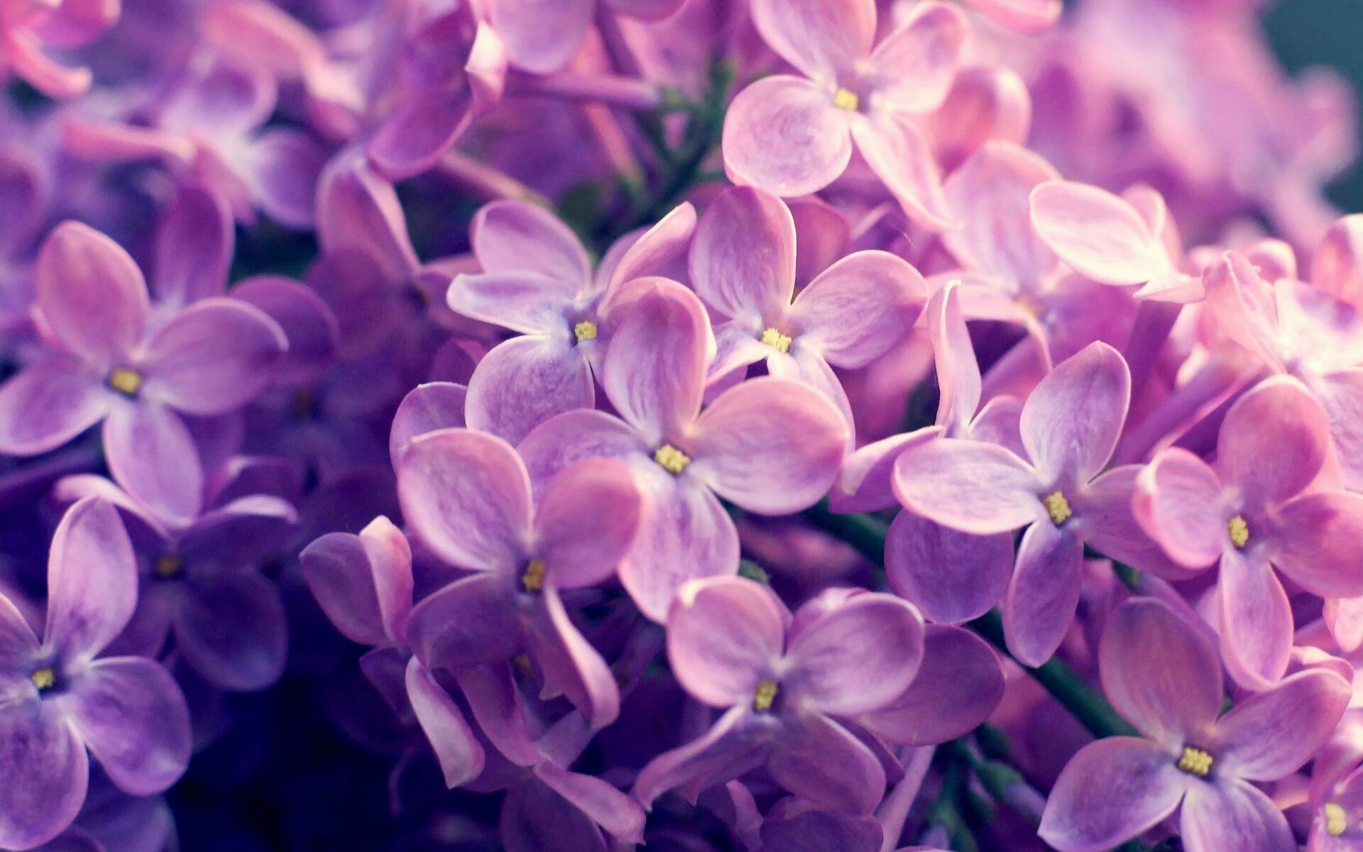 黑蜂风暴席卷奥兰多,当爱德华兹化身关键先生,联盟听到了什么声音?