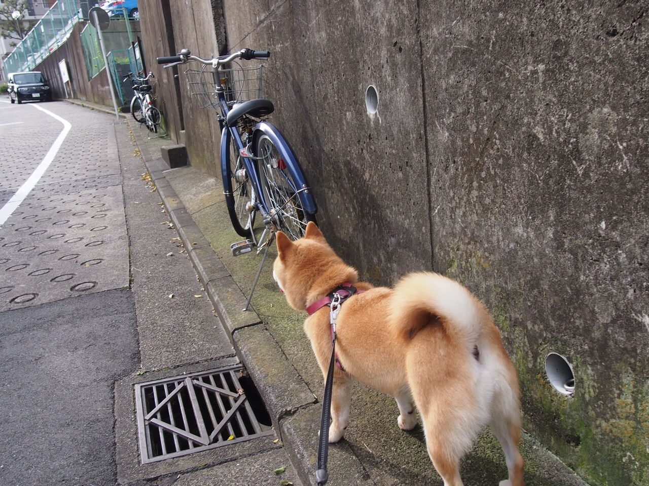 工业废土上,一台精密机器如何肢解生锈的钢铁森林