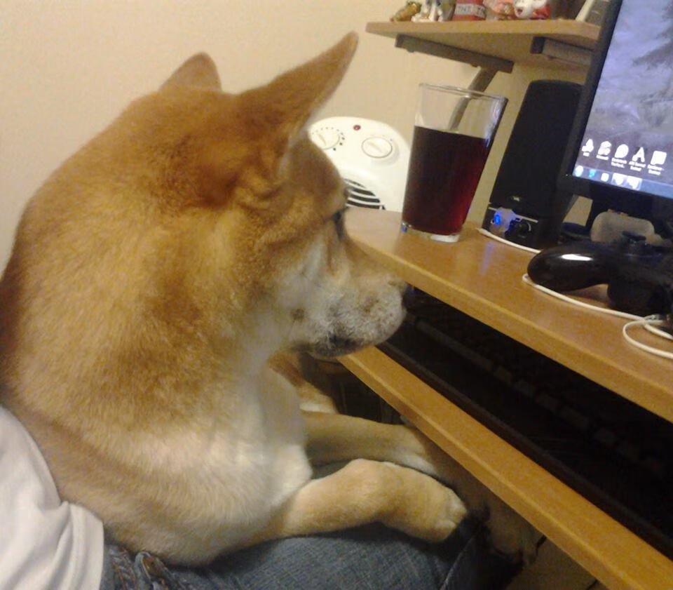 NBA季后赛之夜，伊布在宇宙交叉点的隔空对话