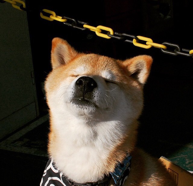 若日尼奥倒勾惊雷震诺坎普，巴萨单节三分击溃利物浦