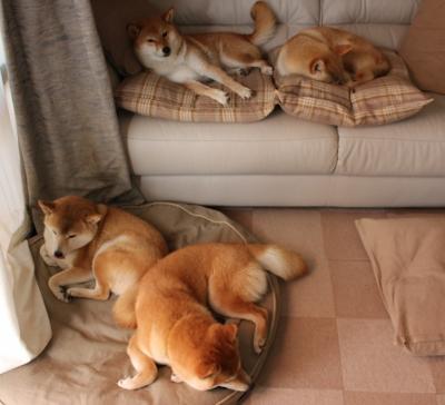 赛道与球场的跨界共鸣,F1争冠夜中杰伦·格林的巨星闪耀