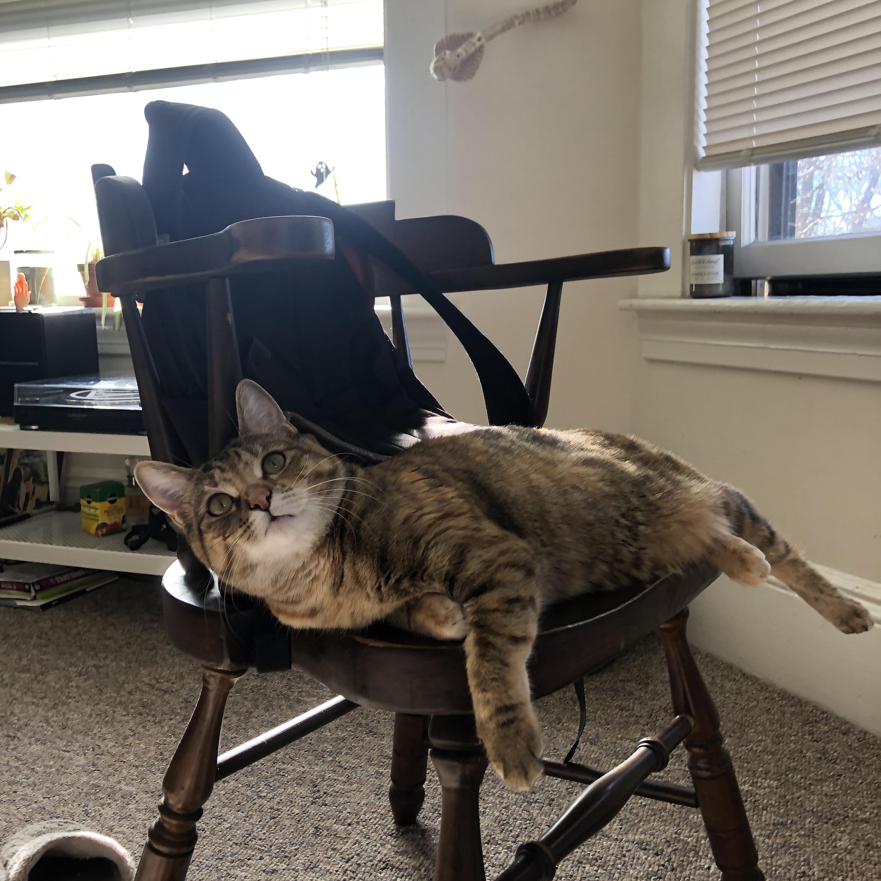 足球神话的诞生，阿什拉夫一肩扛起，洪都拉斯用火力重铸中北美尊严