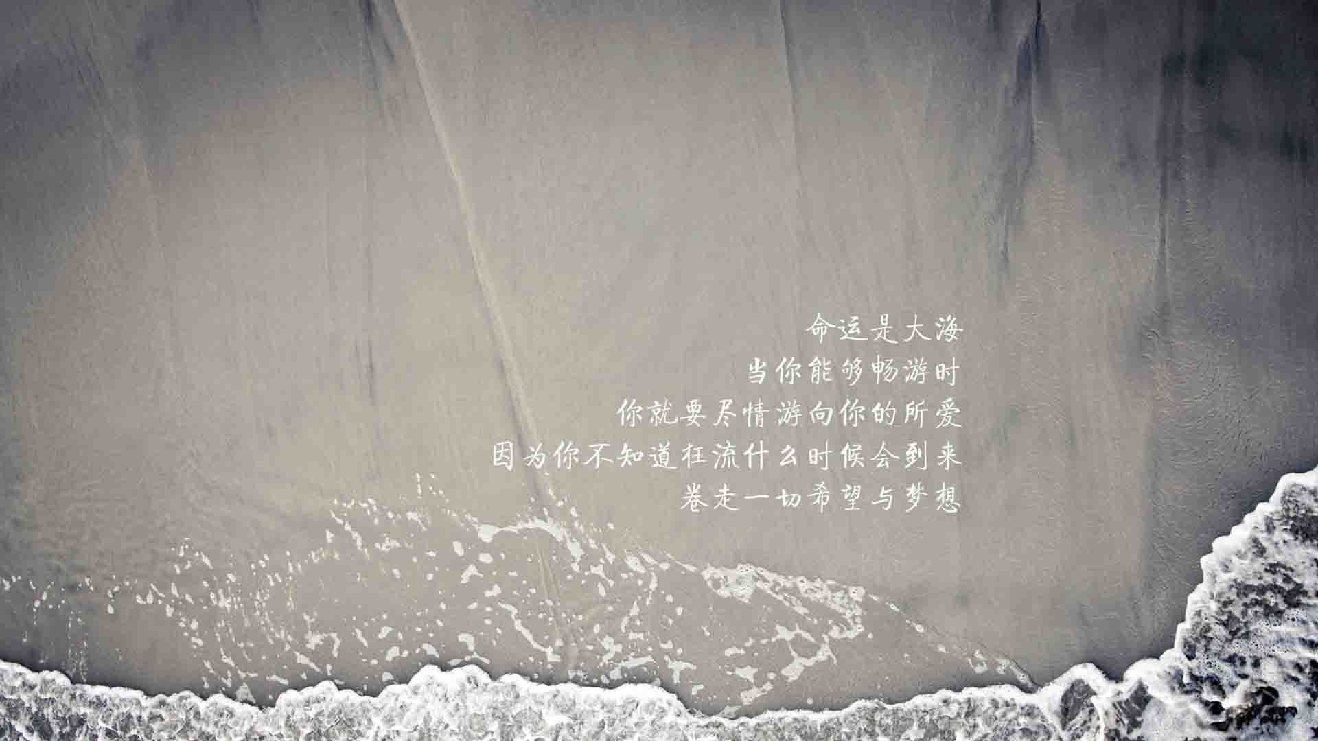 蓝衣孤骑,突尼斯2026年世界杯的致命一击,与一个北非神话的诞生