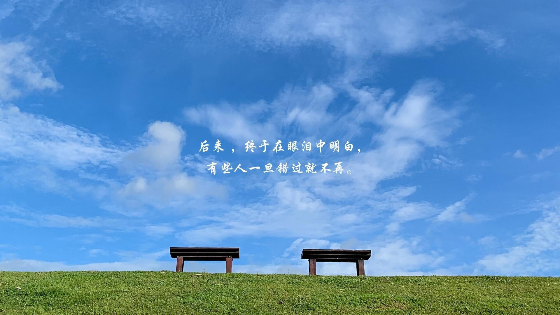 生死战寒夜,2026世界杯D组,厄瓜多尔险胜罗马尼亚,孙兴慜独木难支却闪耀全场