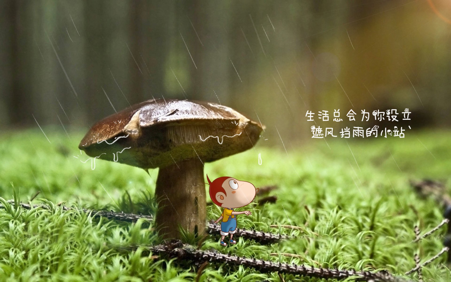 红绿狂想曲,当C罗的绝唱撞上卢卡库的铁蹄—2026世界杯E组降维打击背后的战术启示录
