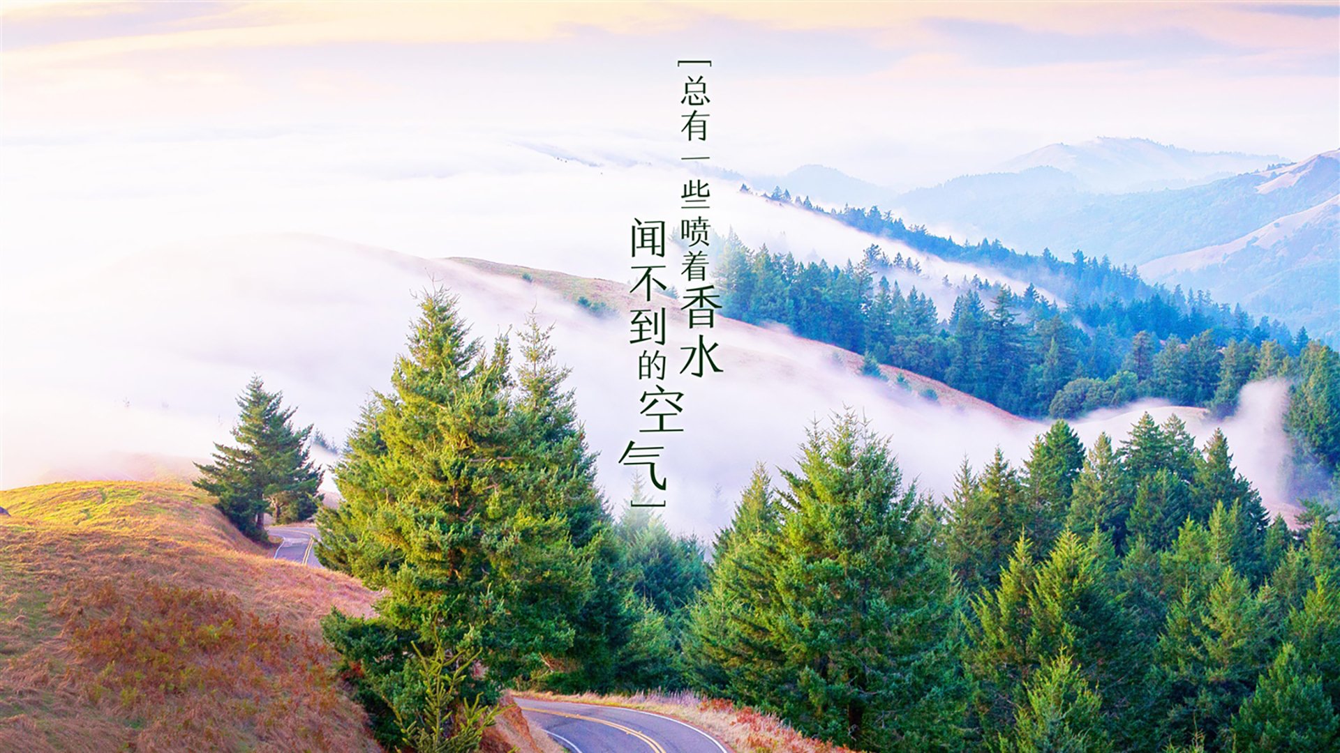 唯一的剧本,2026世界杯A组,印度风暴击穿哥伦比亚,久保建英的孤勇者宣言
