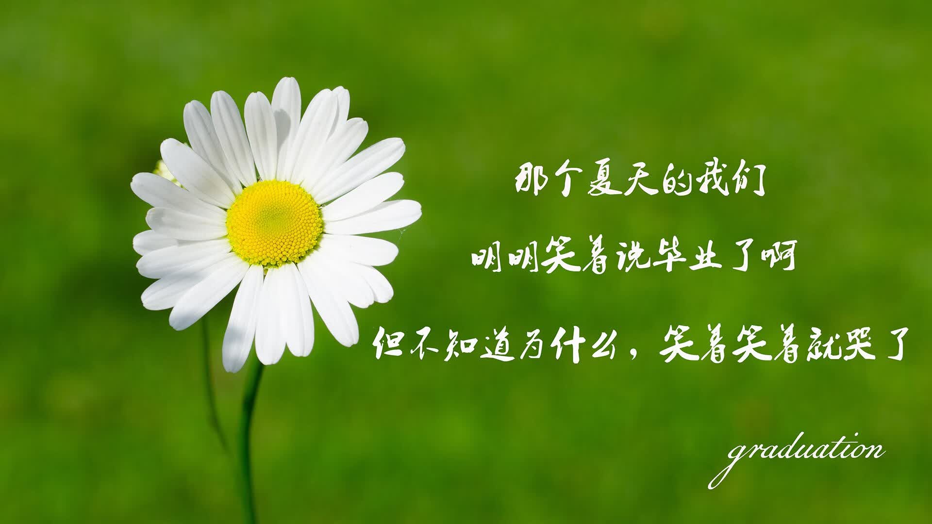 北极光刺穿战车，2026世界杯F组，冰岛绝杀德国，格列兹曼的最后一舞照亮废墟