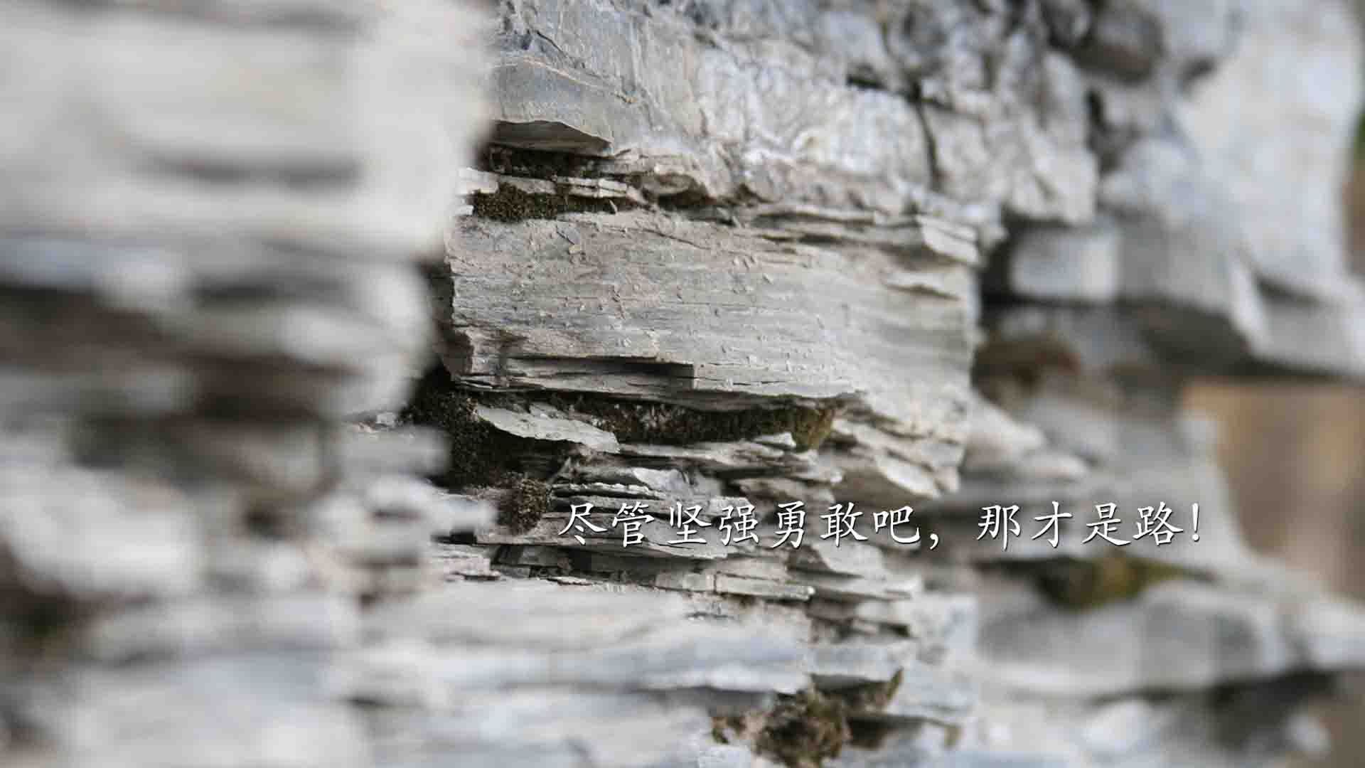 诸神黄昏的序章,当哈兰德撕裂钢铁战车,2026世界杯F组的王座已悄然易主