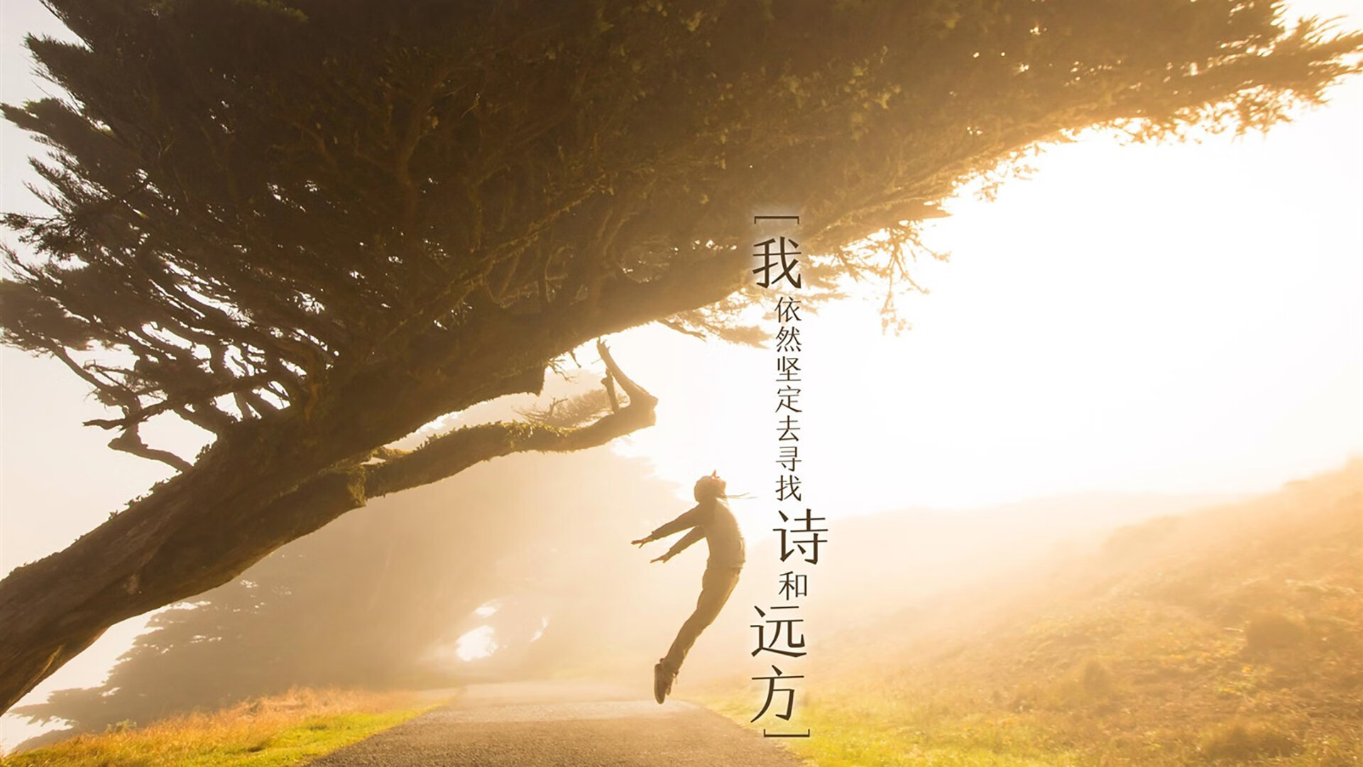 黄沙与海风的终极碰撞,费利克斯一剑封喉,伊朗挺进2026世界杯的唯一时刻